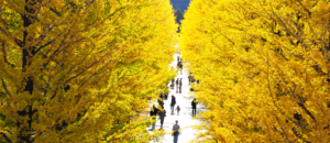 秋の紅葉シーズンのお出かけに！長時間歩いても疲れない靴のケアと修理のポイント